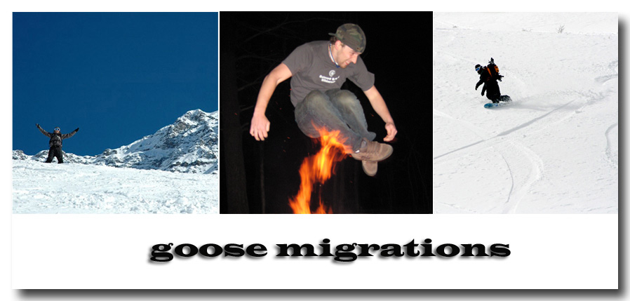 goose travels